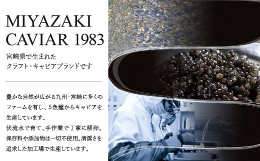 MIYAZAKI　CAVIAR 1983　12g_M017-035_01