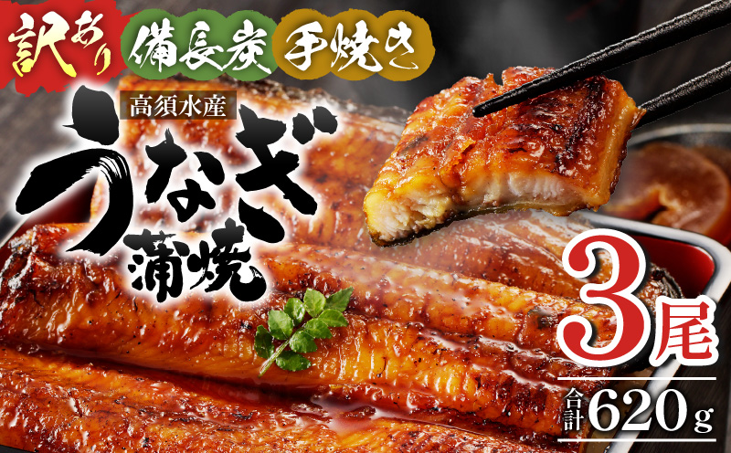 【訳あり】高須水産　備長炭手焼き蒲焼3尾(620ｇ)_M159-005