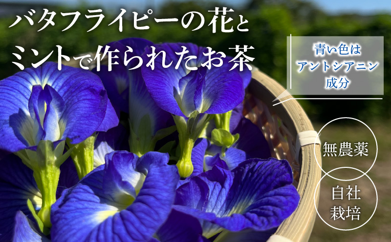 RICH BLUE TEA(５P)×2缶_M263-007