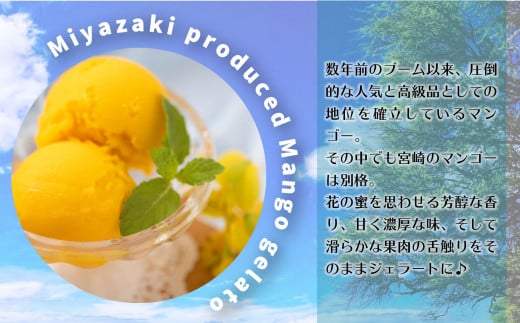 数量限定 宮崎市産完熟マンゴーで作った濃厚なマンゴージェラート(贈答用 100ml×6個)_M184-006