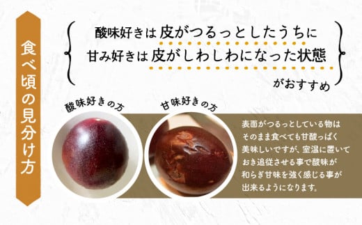 《2025年発送先行予約》【期間・数量限定】8年かけて誕生した宮崎県産極上パッションフルーツＭ　2kg_M057-004