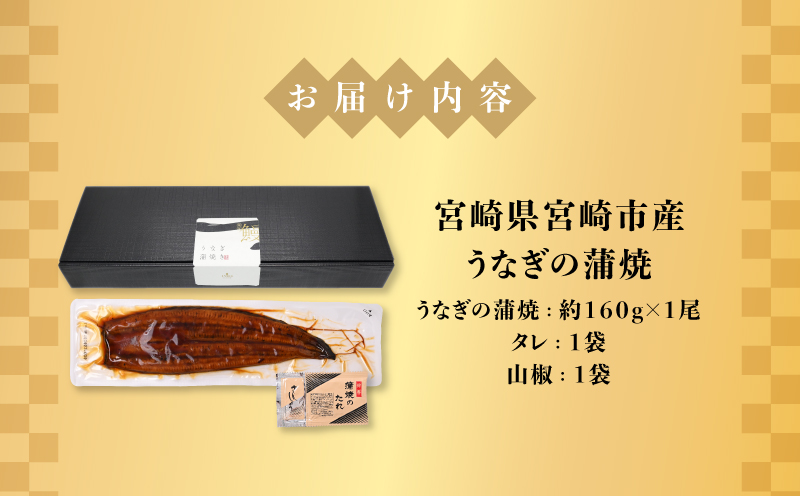 宮崎県宮崎市産　うなぎの蒲焼　約160g（約160g×1尾）タレ・山椒セット_M325-005