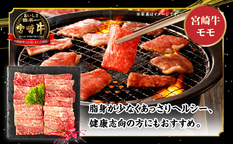 【期間限定】宮崎牛 モモ ウデ 焼肉 セット 各500g 合計1kg_M132-012_02-UP