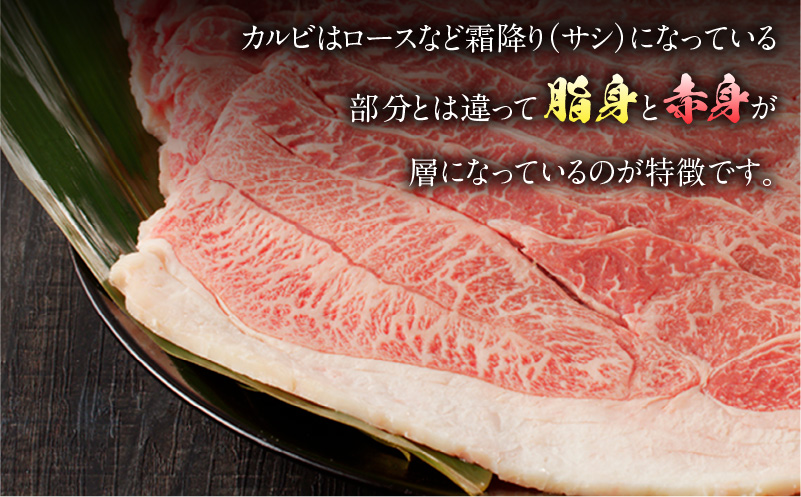 宮崎県産黒毛和牛 カルビ一枚肉【厚め】1.5kg_M243-025