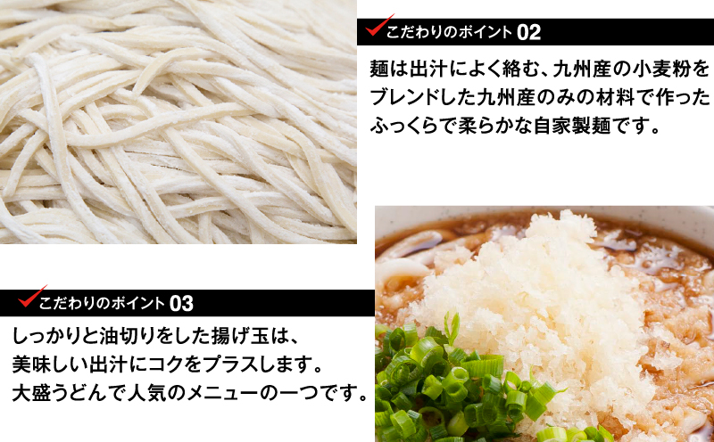  ＜大盛うどん＞たぬきうどん 冷凍なま麺 6食セット_M253-001