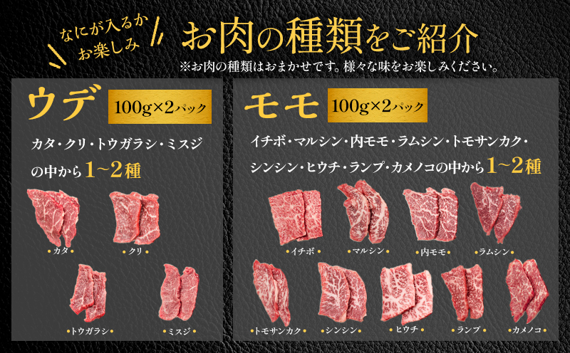 数量限定 宮崎牛 焼肉食べ比べ 4種～8種盛り 合計800g _M243-016