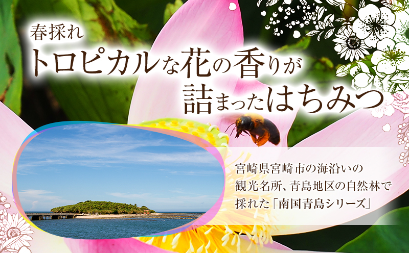 ブォンミエーレ宮崎産非加熱はちみつ2本＋アーモンドはちみつ漬けセット_M085-003