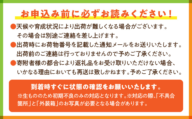 《2025年発送先行予約》【期間・数量限定】宮崎市産完熟マンゴー「太陽のタマゴ」A3L_M056-010