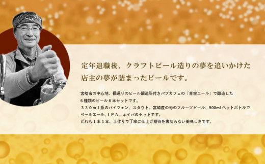 青空エールこだわりのクラフトビール飲み比べ詰め合わせセット〈フルーツビール入り〉6種6本（330ml 瓶×3本、500mlペットボトル×3本）_M170-003_12