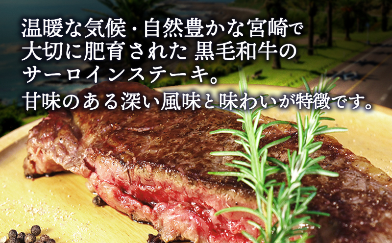 数量限定 宮崎県産黒毛和牛 サーロインステーキ 1ポンド 450g_M268-001