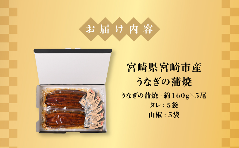 宮崎県宮崎市産　うなぎの蒲焼　約800g（約160g×5尾）タレ・山椒セット_M325-008