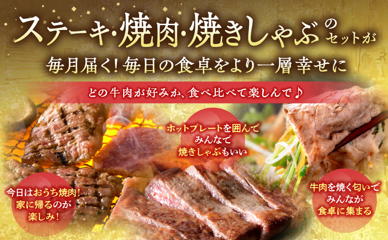 ステーキ・焼肉・焼きしゃぶ 宮崎牛食べ比べ定期便(総重量1.7kg)_M132-T003