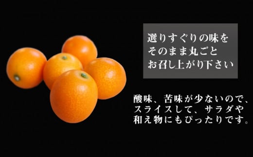 《2025年発送先行予約》【期間・数量限定】完熟きんかん たまたまエクセレント 1kg_M056-012