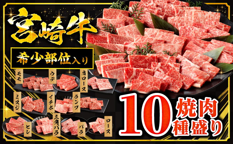 宮崎牛焼肉10種盛り合わせ_M132-067