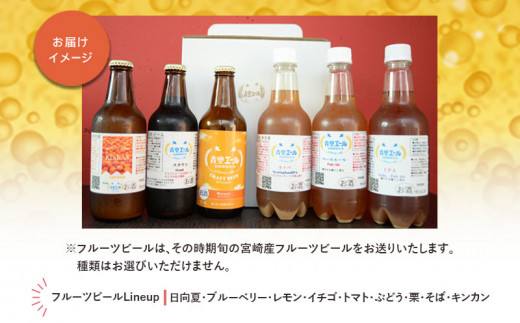 青空エールこだわりのクラフトビール飲み比べ詰め合わせセット〈フルーツビール入り〉6種6本（330ml 瓶×3本、500mlペットボトル×3本）_M170-003_12