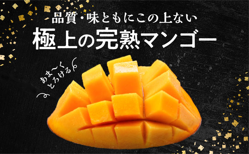 【期間・数量限定】おがたのマンゴー　完熟宮崎マンゴー　2Lサイズ（350～449g）×1個_M161-009_01