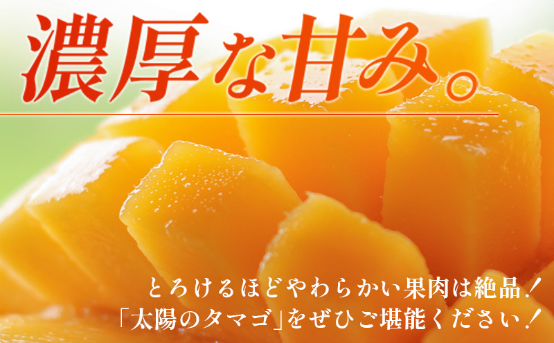 宮崎特産品　宮崎県産完熟マンゴー　太陽のタマゴ　2L×2個