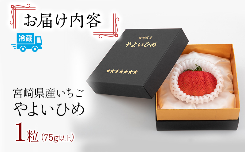 【ふるさと納税】【先行予約】期間限定 数量限定 いちご 「やよいひめ」 1粒 75g以上_M273-001