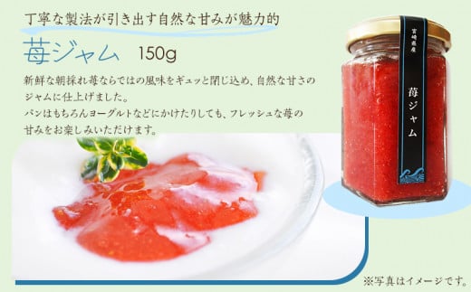 【農福連携】宮崎県産 波乗り苺のギフトセット 3種_M255-001