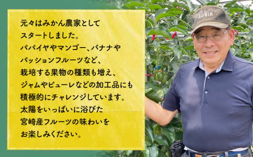 《2025年発送先行予約》【期間・数量限定】8年かけて誕生した宮崎県産極上パッションフルーツＭ　2kg_M057-004