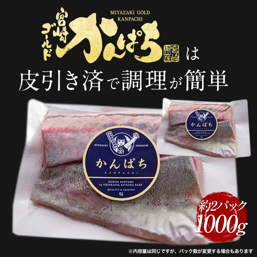 宮崎産 新海屋 鰤屋金太郎 宮崎ゴールドカンパチ 1000g　冷凍　N018-ZA941_2