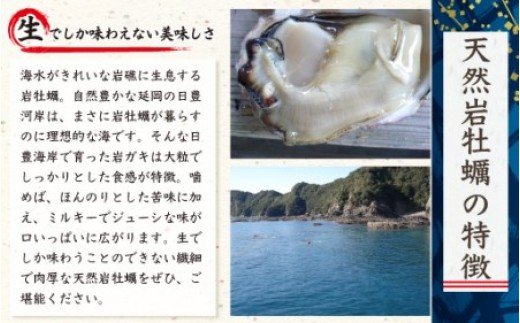 延岡産天然岩牡蠣（生食用）10kg（中）（2023年4月から発送開始）　D026