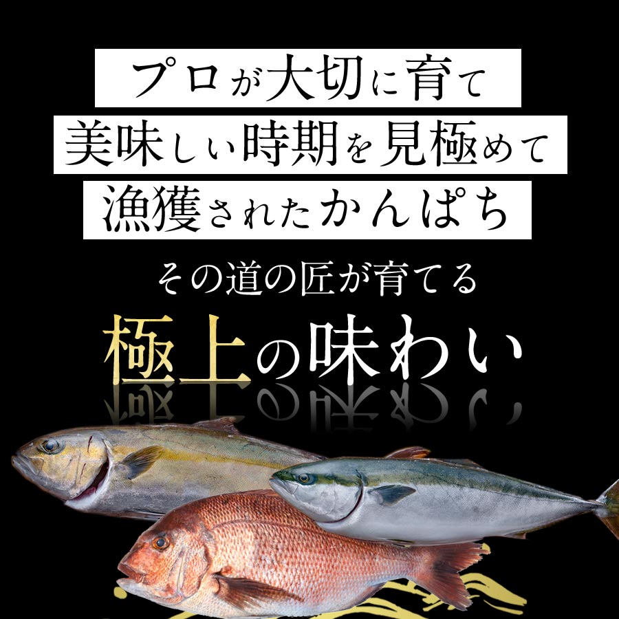 鰤屋金太郎【冷凍】ぶりたいかんぱちスキンレスロイン各種300g N018-YZA844_2