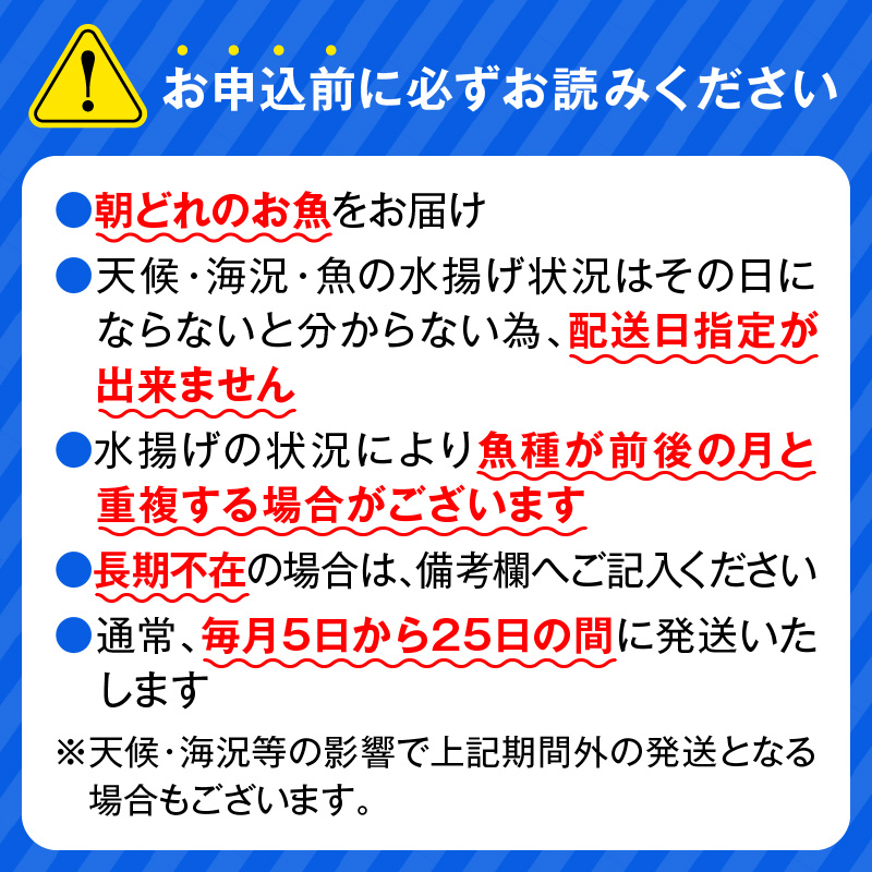 【6ヶ月定期便】大和海商 こだわり漁師のお刺身　6人前　N072-E080_2