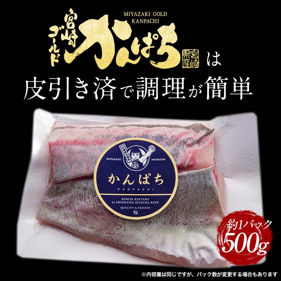 宮崎産 新海屋 鰤屋金太郎 宮崎ゴールドカンパチ 500g　冷凍　N018-ZA0405_2