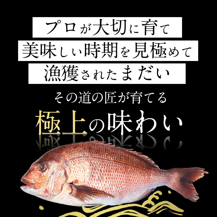 宮崎産 新海屋 鰤屋金太郎 みやざき極上まだい 500g　冷凍　N018-ZA395_2