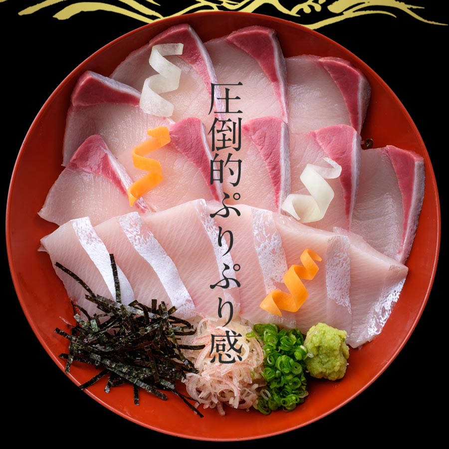 宮崎産 新海屋 鰤屋金太郎 宮崎ゴールドカンパチ 500g　冷凍　N018-ZA0405_2