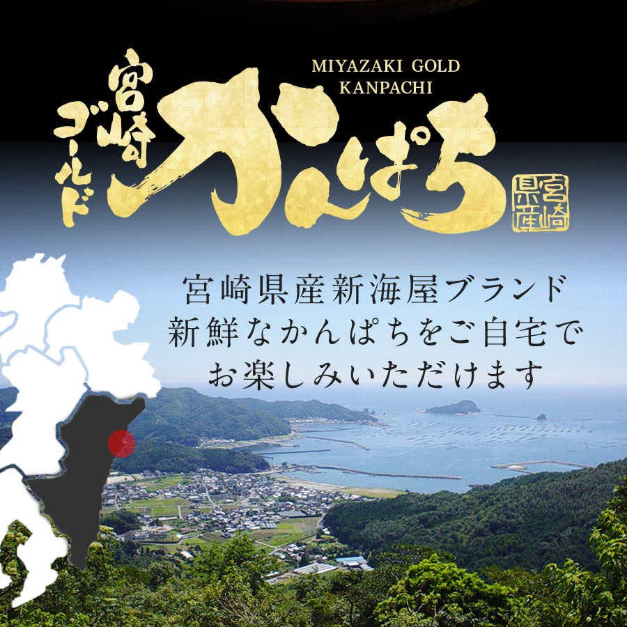 宮崎産 新海屋 鰤屋金太郎 宮崎ゴールドカンパチ 500g　冷凍　N018-ZA0405_2