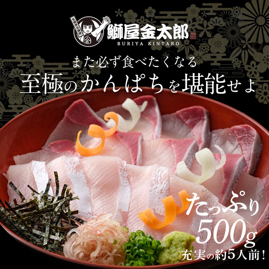 宮崎産 新海屋 鰤屋金太郎 宮崎ゴールドカンパチ 500g　冷凍　N018-ZA0405_2