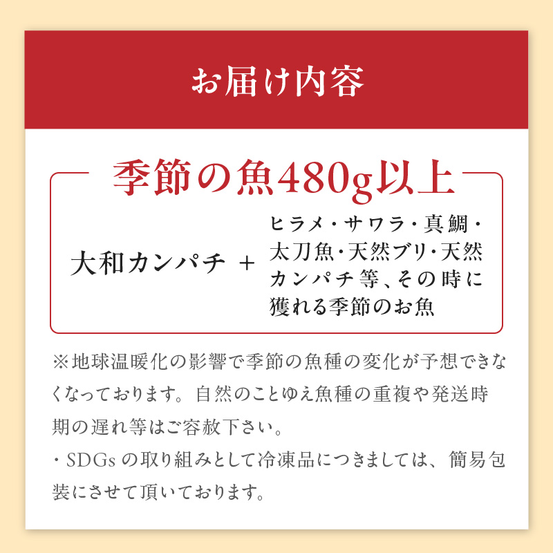 【単月お届け】大和海商　高級お刺身　6人前　冷凍　N072-A4402_2