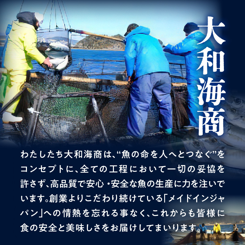 【単月お届け】大和海商　高級お刺身　4人前　冷凍　N072-A0388_2