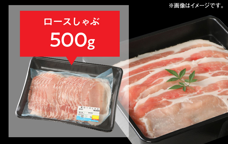 宮崎県産豚 ロースとんかつ 100g×5 ロースしゃぶ 500g ヒレとんかつ 400g　計1.4kg ミヤチク 国産　N0147‐A3327