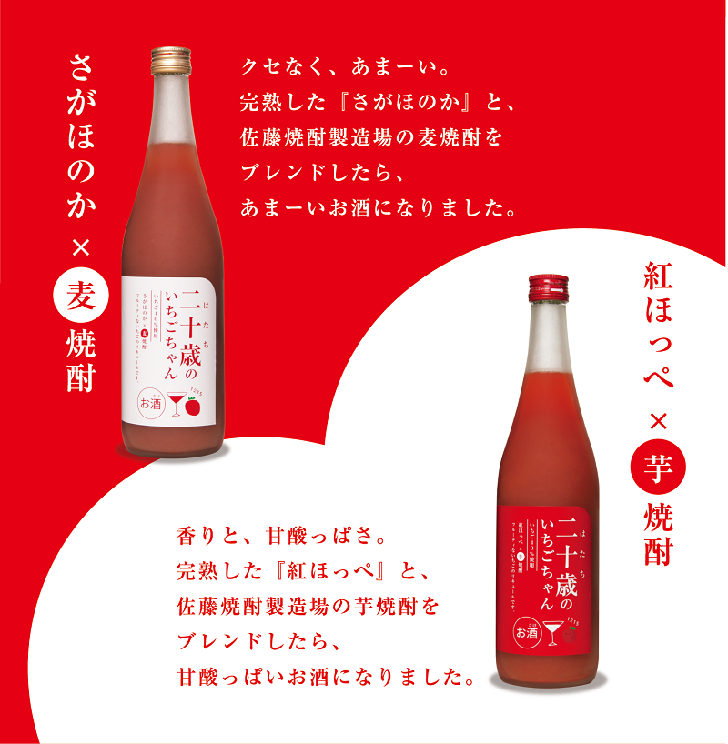 二十歳のいちごちゃんリキュール飲み比べ2本セット N085-YZA727