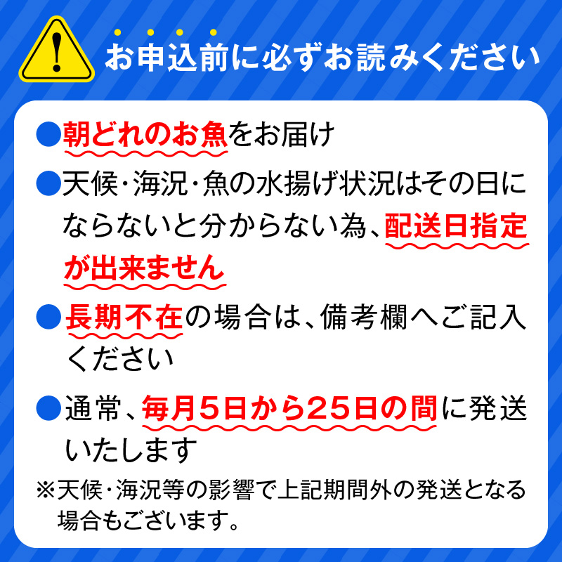 【単月お届け】大和の高級お刺身4人前 N072-YA0388_1