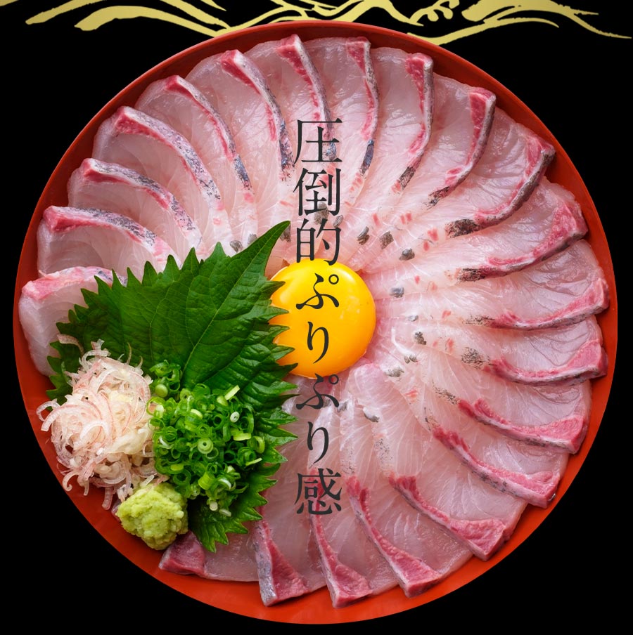 宮崎産 新海屋 鰤屋金太郎 金太郎ぶり 1000g　冷蔵　N018-ZA4407_1