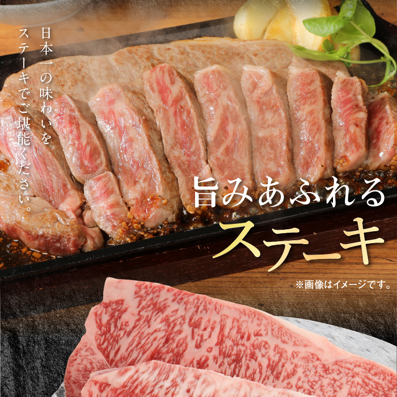 宮崎牛 ロース ステーキ 250g×2 宮崎県産和牛小間切れ 100g×2 計700g　N0147‐B813