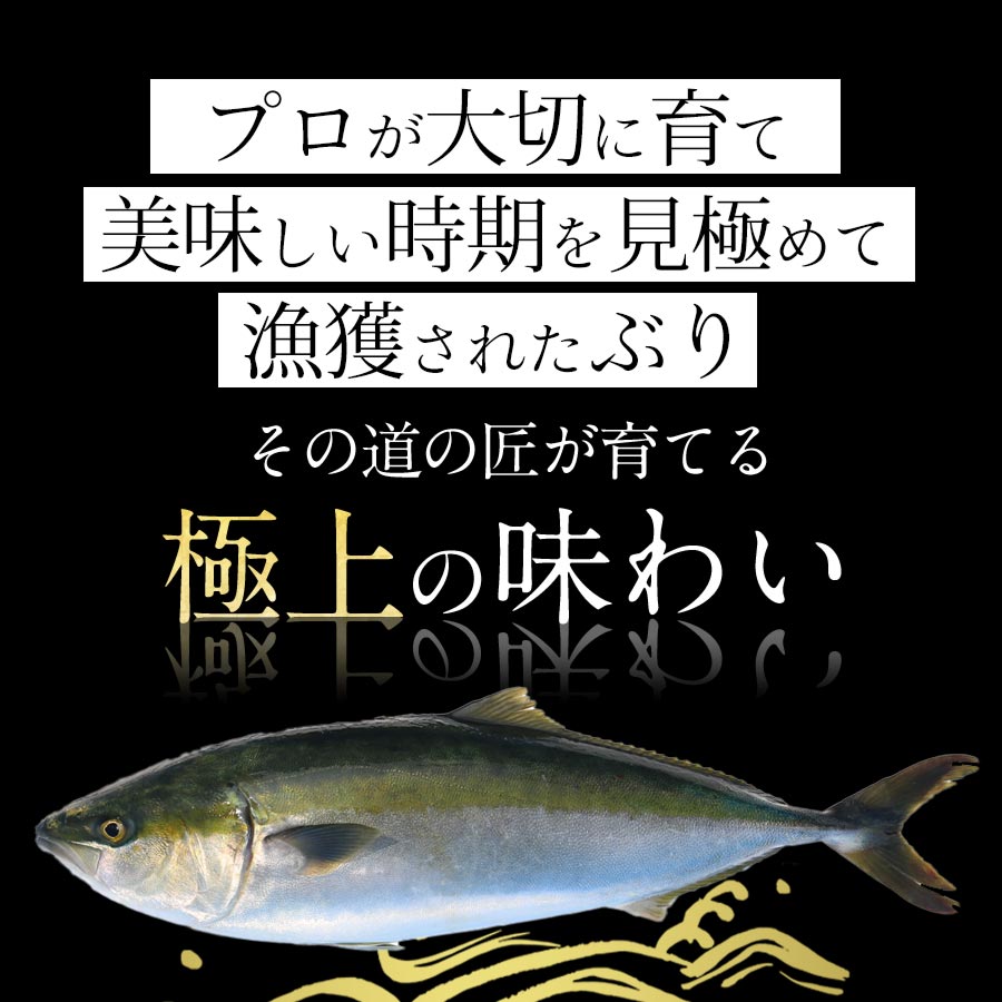 宮崎産 新海屋 鰤屋金太郎 金太郎ぶり 500g　冷凍　N018-ZA0404_2