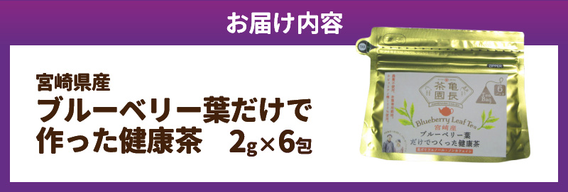 宮崎県産 ブルーベリー葉 だけで作った 健康茶 ポリフェノール　N048-YZA095