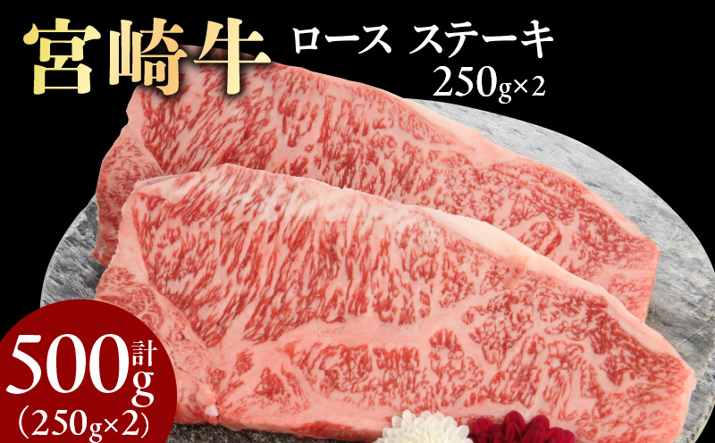 宮崎牛 ロース ステーキ 250g×2 計500g　N0147-YB426