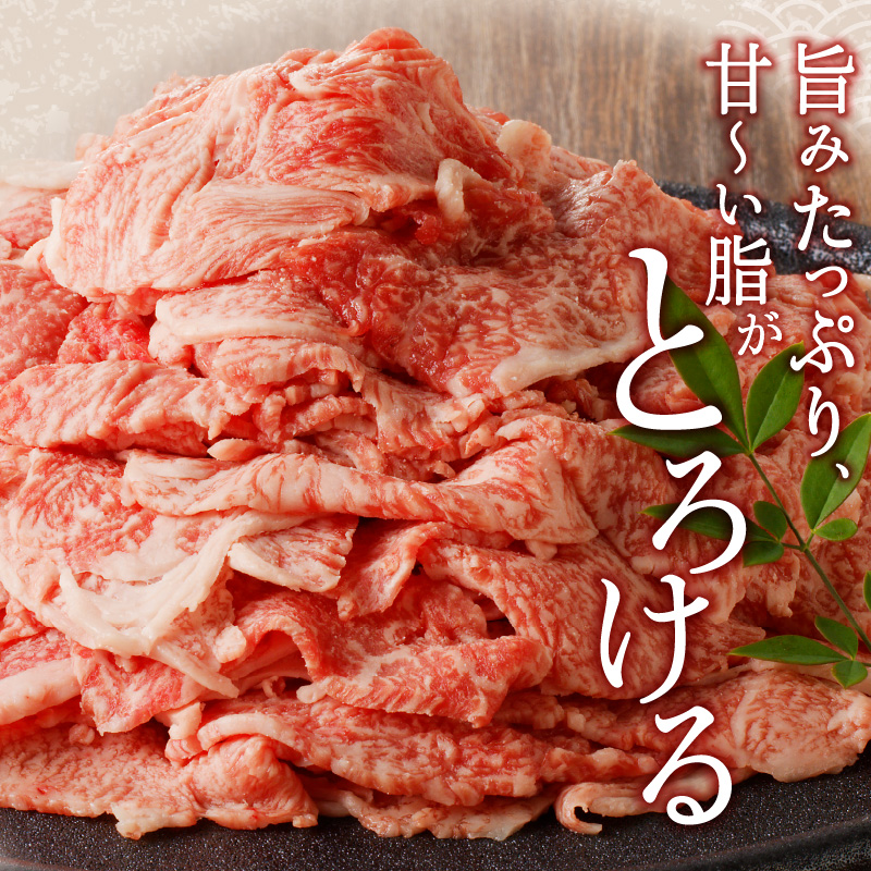 宮崎牛小間切れ900g(450g×2ﾊﾟｯｸ) N061-YZB212