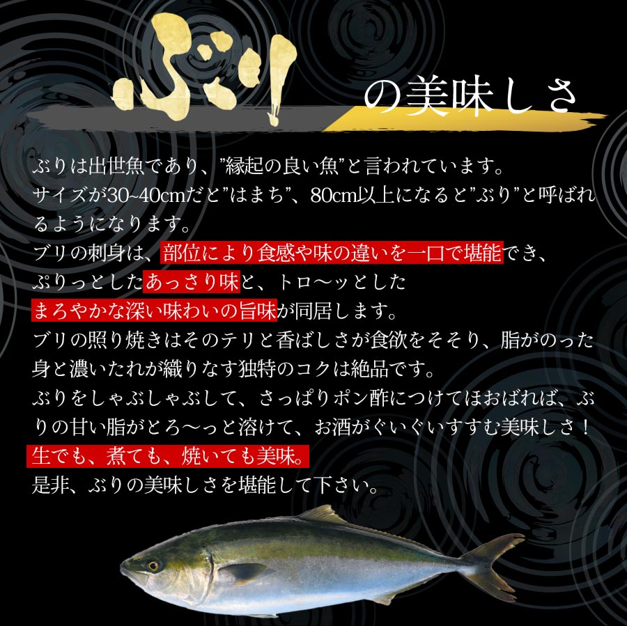 宮崎産 新海屋 鰤屋金太郎 金太郎ぶり 1000g　冷蔵　N018-ZA4407_1