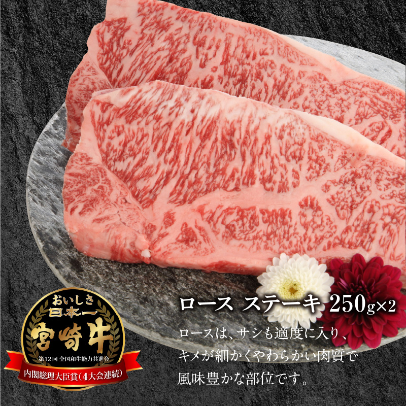 宮崎牛 ロース ステーキ 250g×2 計500g　N0147-YB426