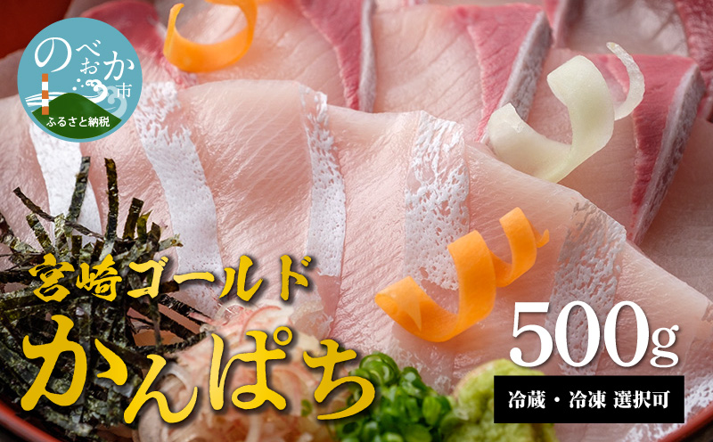 宮崎産 新海屋 鰤屋金太郎 宮崎ゴールドカンパチ 500g　冷蔵  N018-ZA0405_1