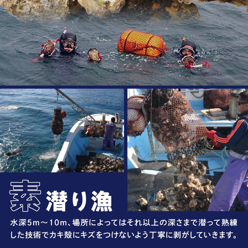 延岡産天然岩牡蠣（生食用）3kg（大）（2024年4月1日から発送開始）　N036-ZA527