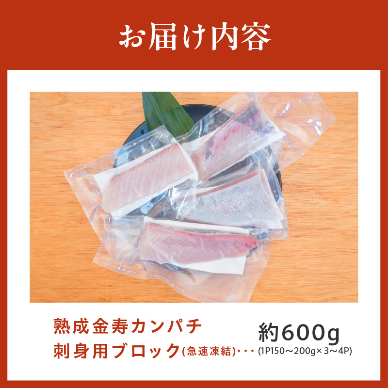 熟成金寿カンパチ刺身用ブロック600ｇ（急速凍結） N015-YA591