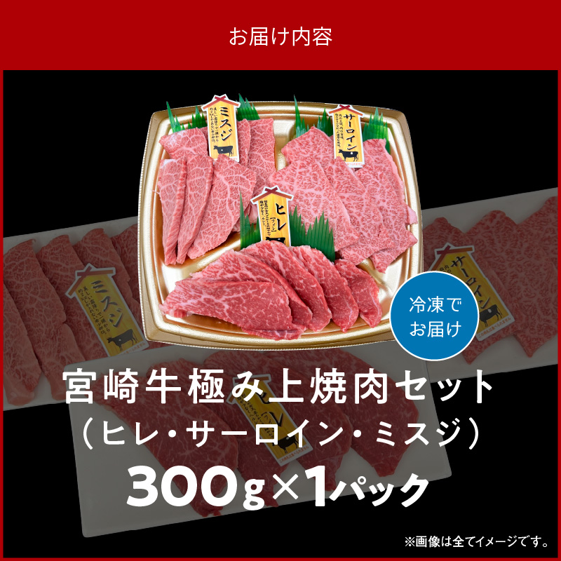 宮崎牛極み上焼肉セット 合計 300g　N0140-B083